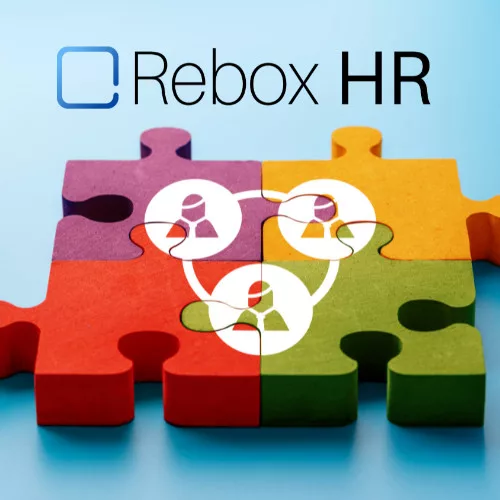HR Consultant Guide for Small Businesses